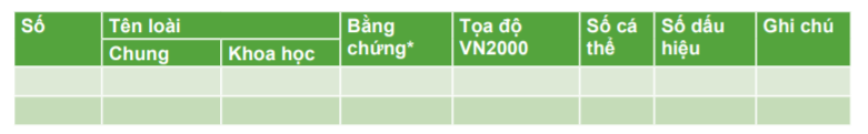Bang 7
