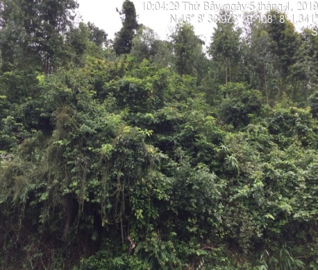 E:\ADat_STI\Thuc_dia_Da_nang_01.2019\anh_thuc_dia\4-5.1\20190105_IMG_4525.JPG