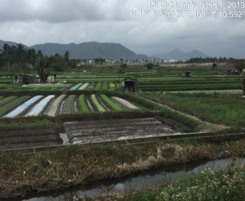 E:\ADat_STI\Thuc_dia_Da_nang_01.2019\anh_thuc_dia\IMG_5514.JPG