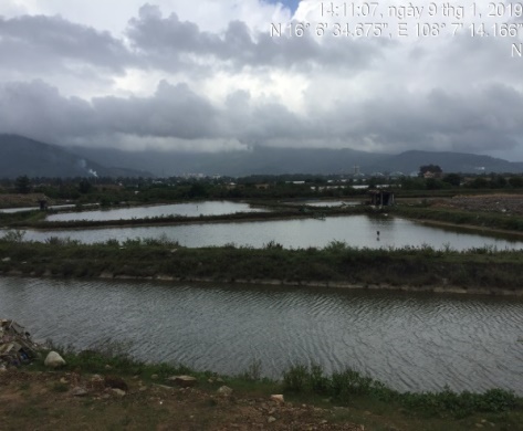 E:\ADat_STI\Thuc_dia_Da_nang_01.2019\anh_thuc_dia\10.1\IMG_5524.JPG