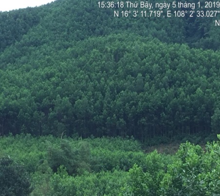 E:\ADat_STI\Thuc_dia_Da_nang_01.2019\anh_thuc_dia\4-5.1\20190105_IMG_4684.JPG