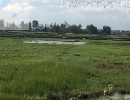 E:\ADat_STI\Thuc_dia_Da_nang_01.2019\anh_thuc_dia\7.1\IMG_5004.JPG