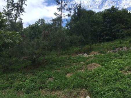 E:\ADat_STI\Thuc_dia_Da_nang_01.2019\anh_thuc_dia\8.1\IMG_5220.JPG