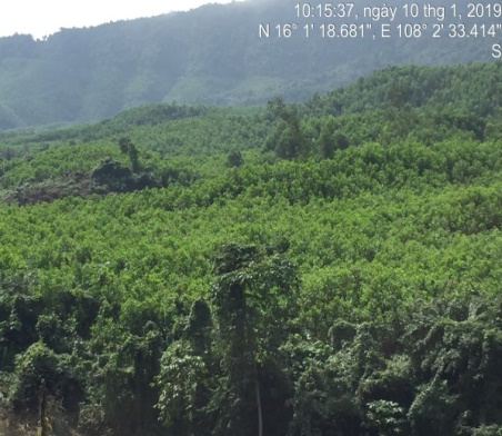 E:\ADat_STI\Thuc_dia_Da_nang_01.2019\anh_thuc_dia\10.1\IMG_5633.JPG