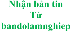 nahntin
